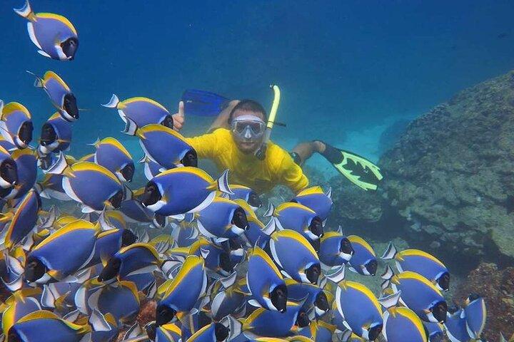 Excursión de un día desde Phuket a la isla Phi Phi en Cruise Youth