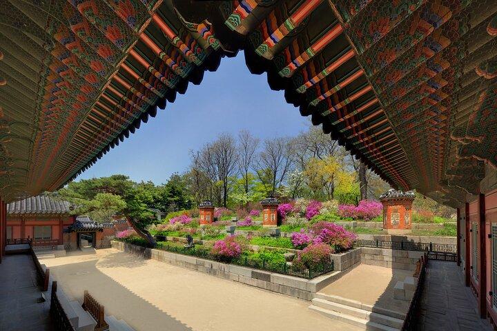ソウル 1 日プライベート ツアー景福宮、仁寺洞など