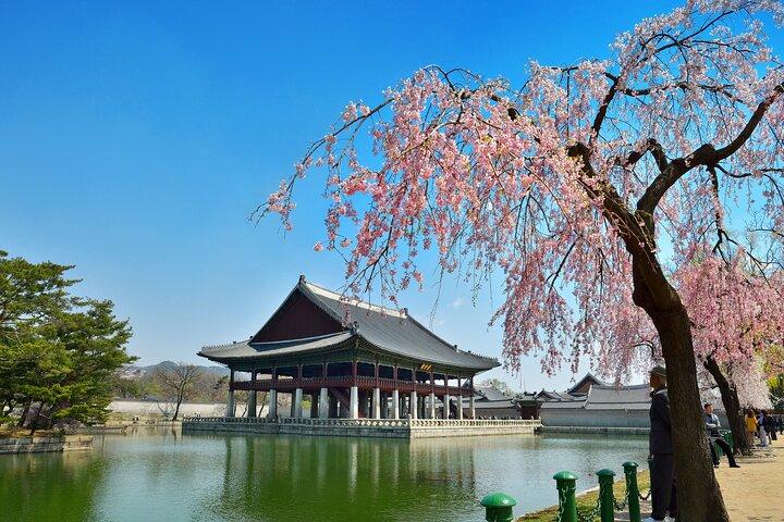 Tour privato di un'intera giornata a Seul Palazzo Gyeongbokgung, Insadong e altro