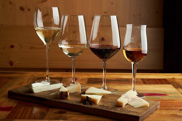 All Inclusive Käse- und Ginstour in den Prosecco Hügeln.