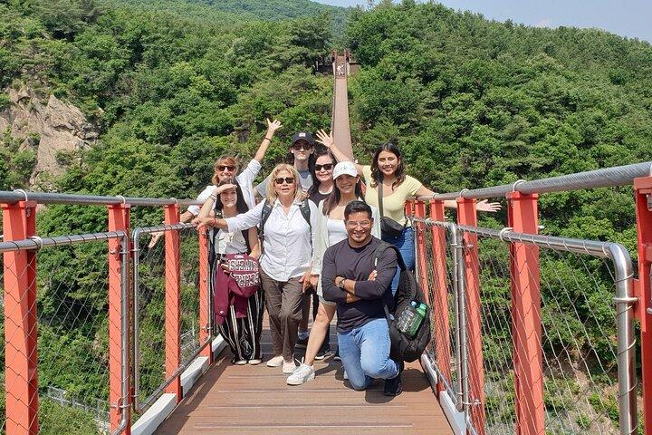 Seúl : Tour privado por la DMZ con puente colgante