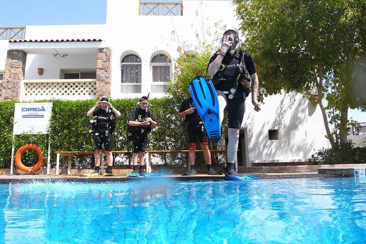 2-Day SSI Scuba Diver Certification – All-Inclusive Course