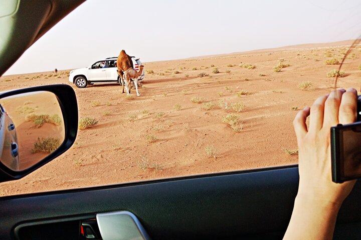 5 dages ørkentur fra MARRAKECH til den magiske ERG CHIGAGA