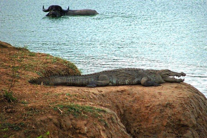 ウダワラウェ国立公園へのプライベート ツアー