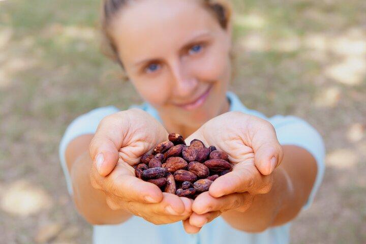 チョコレートツアーとトルトゥゲーロボート。プエルトリモンの寄港地観光