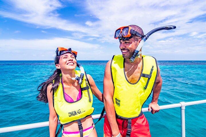 Croisière en catamaran avec plongée en apnée et chutes de la rivière Dunn