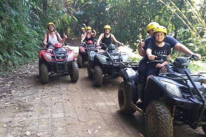 ウブドのバリ ATV ライド ツアー (送迎付き)