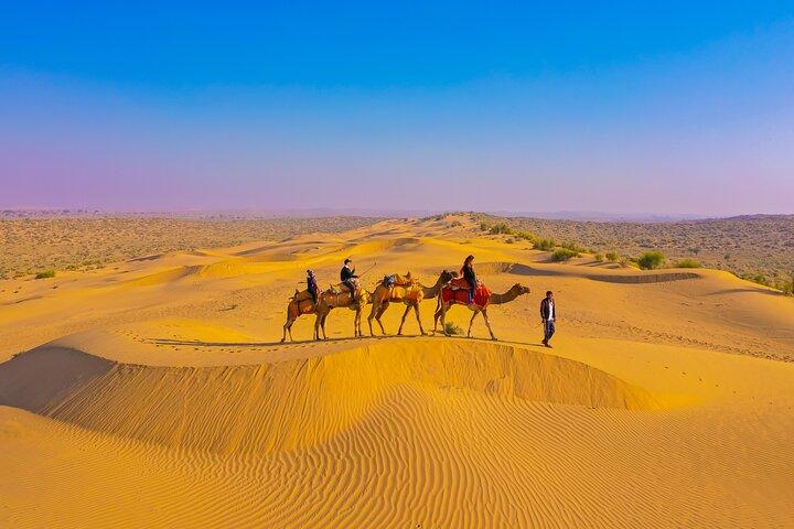 Agréable safari de nuit à dos de chameau non touristique (de 14h00 à environ 10h30)