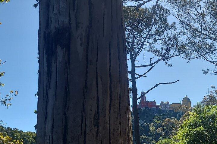 Tour privado en Tuk Tuk por la mágica Sintra y la costa