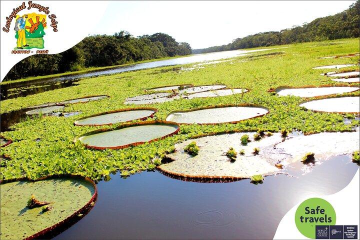 4 Day Wildlife and Camping - Ecological Jungle Trips