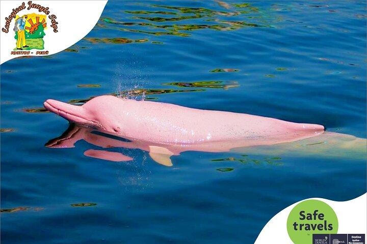 4 Day Wildlife and Camping - Ecological Jungle Trips