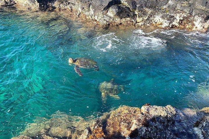Beach Snorkel - Sea Turtle and Black Sand Lagoon
