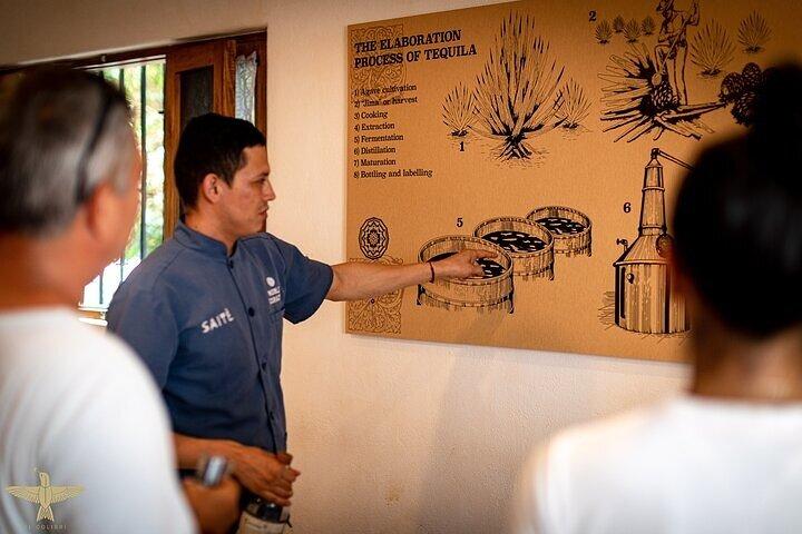 Premium håndværksmæssig Tequila-smagning på El Tasting Room