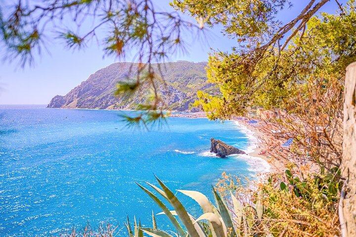 Excursão de Cinque Terre e Pisa a partir de Florença