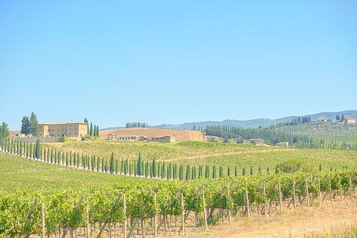 Florence: Private Half-Day Chianti Tour and Wine Tasting Optional