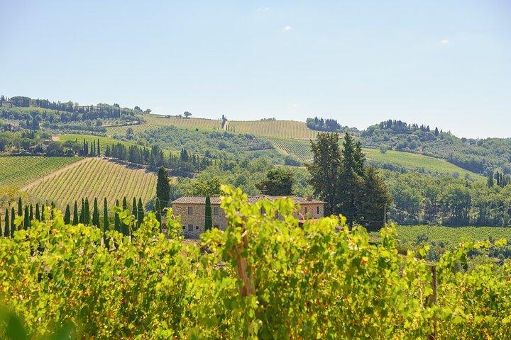 Florence: Privétour van een halve dag Chianti en wijnproeverij Optioneel