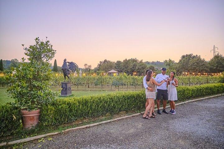 Exklusive Weinguttour mit Verkostung und Abendessen im Chianti-Weingut