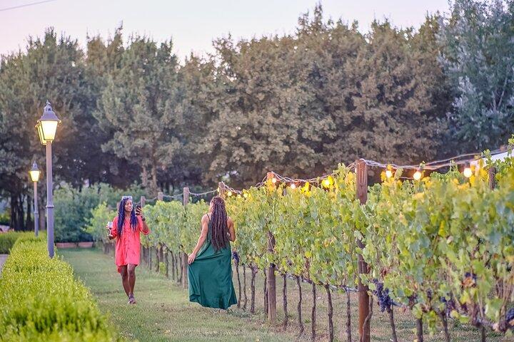 Exclusivo tour de bodega con degustación y cena en viñedo de Chianti