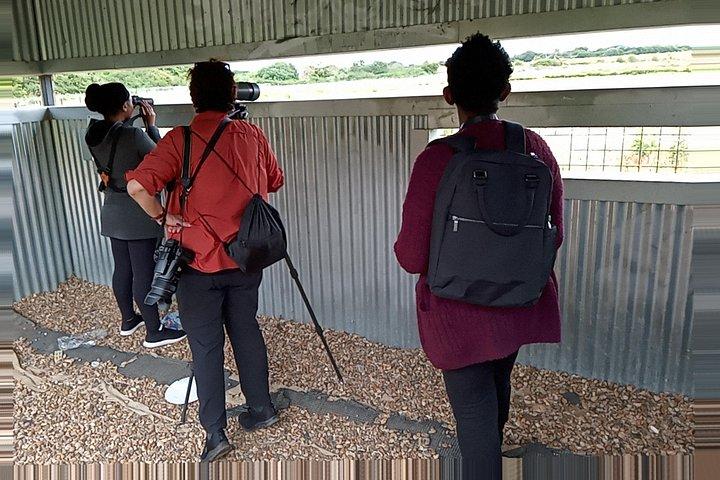 Sussex Birdwatching Private Guided Tour