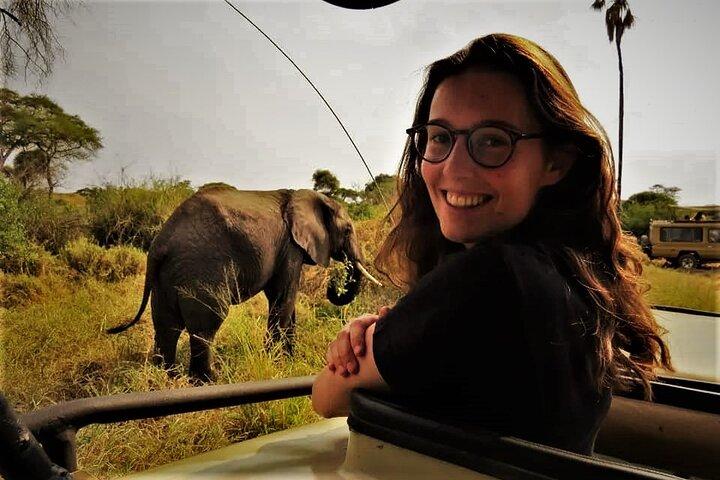 3 dages Tanzania Safari: Tarangire, Manyara og Ngorongoro Crater