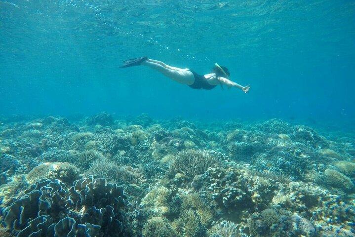 ピンク ビーチ ロンボク シュノーケリング & ロンボク発日帰り旅行