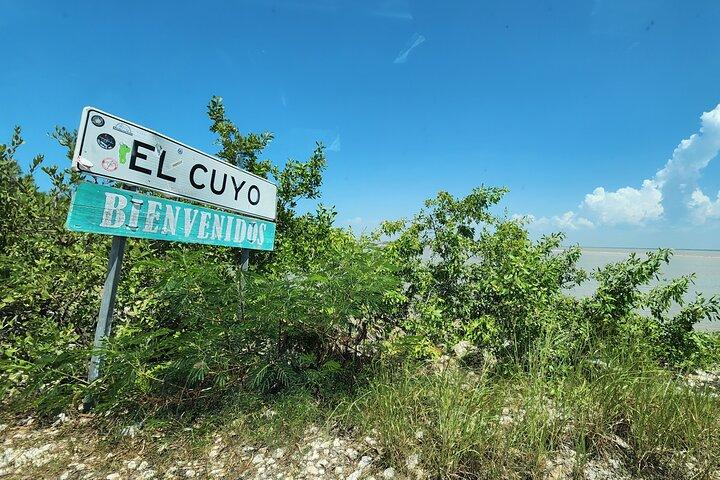 Transferência privada de ida e volta para "El Cuyo Yucatan"