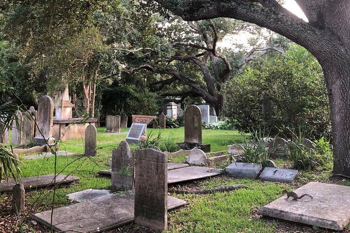 Charleston Scavenger Hunt y Museo Libre