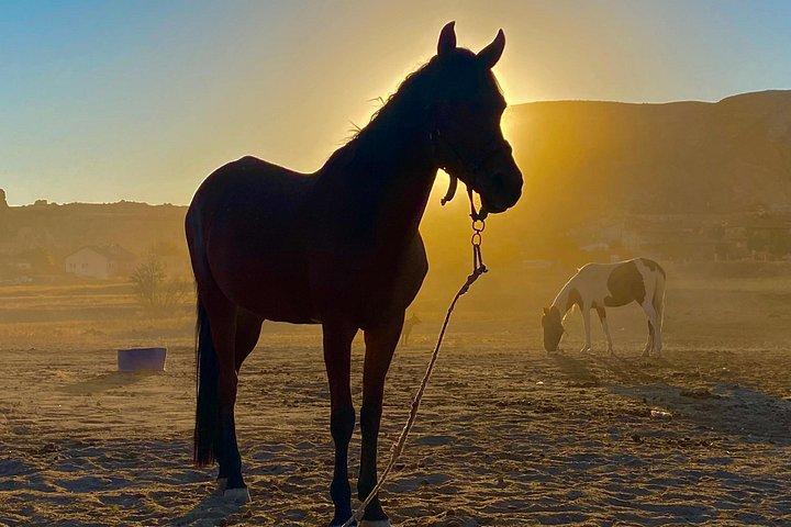 カッパドキアの乗馬で渓谷を散策—サンセット/ホテル送迎