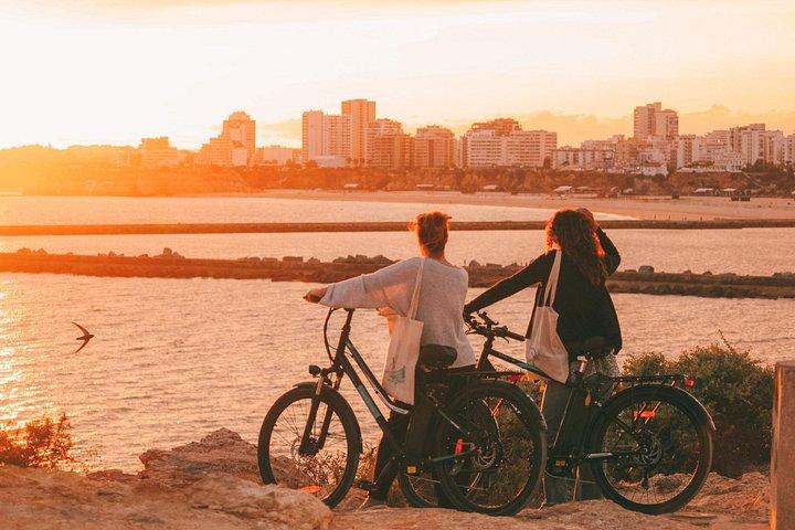 Self-Guided E-Bike Tour: Fat Bikes & Electric Bikes