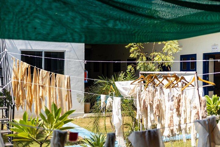 2.5 Hours Natural Dyeing Workshop in Rajasthan