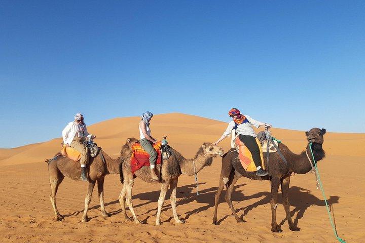 3 Dagar Marrakech ökentur, ökenläger, kamelvandringstur