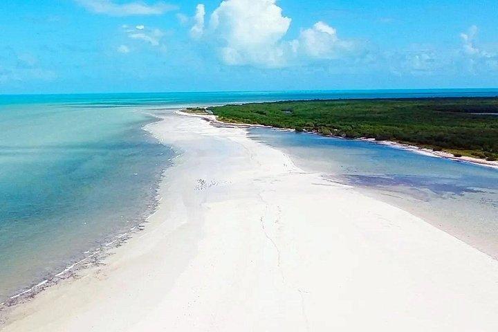 Holbox Magic Island Tour + Round Transportation From Cancun