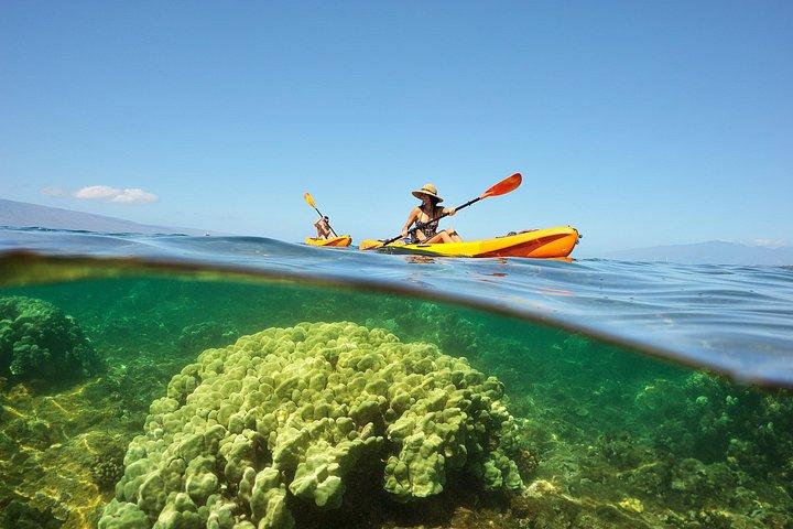 Kayak e Snorkel: Maui West Shore