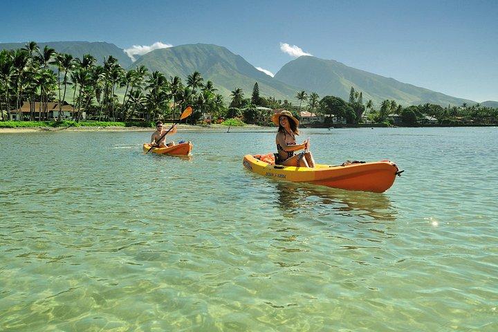 Kayak e Snorkel: Maui West Shore