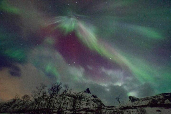 Northern lights photography tour