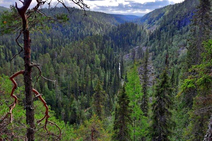 Rovaniemi : Korouoma Canyon Escursioni e Barbecue Experience