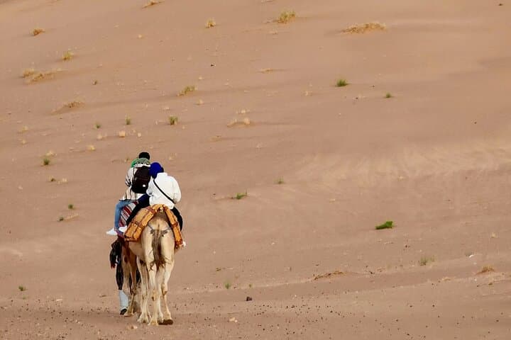 Experience Luxury in Zagora: 2-Day Desert Adventure