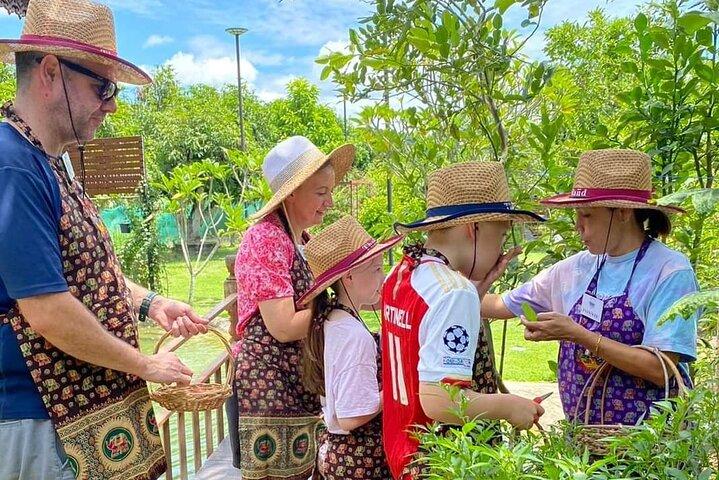 Kochkurs am Vormittag Chiang Mai Besuchen Sie den Bio-Garten und -Markt