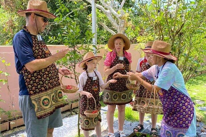 Kochkurs am Vormittag Chiang Mai Besuchen Sie den Bio-Garten und -Markt