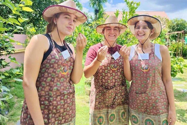 Kochkurs am Vormittag Chiang Mai Besuchen Sie den Bio-Garten und -Markt