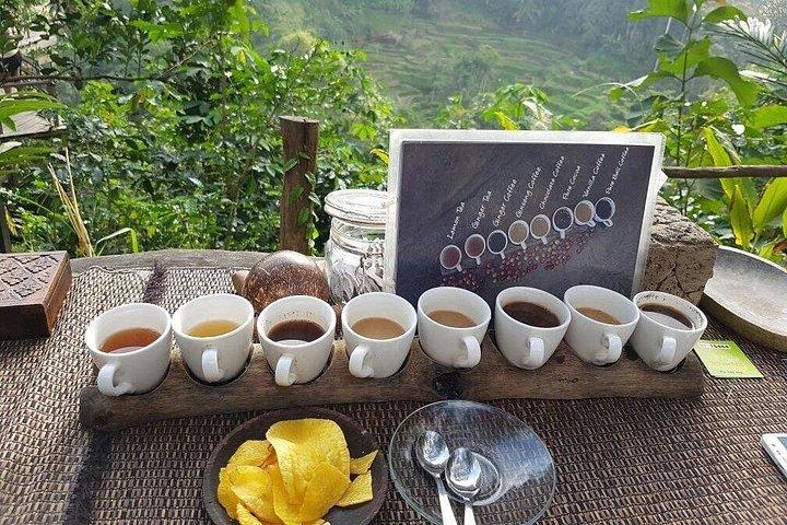Bali Ubud Tour: Foresta delle scimmie, Cascate e Terrazza del riso