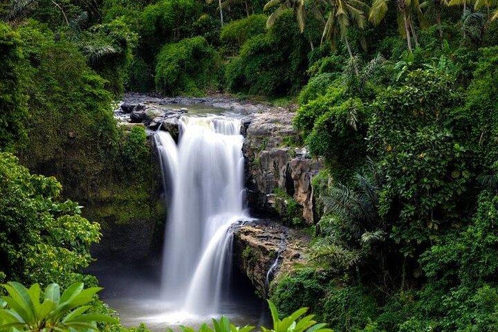 Tour a la cascada de Bali: las joyas escondidas de la naturaleza de Bali con todo incluido