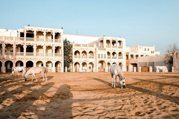 Doha: Stadtführung mit Flughafen und Hotelabholung