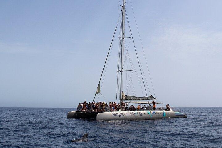 Fuerteventura: viagem de catamarã Magic Select com comida e bebida