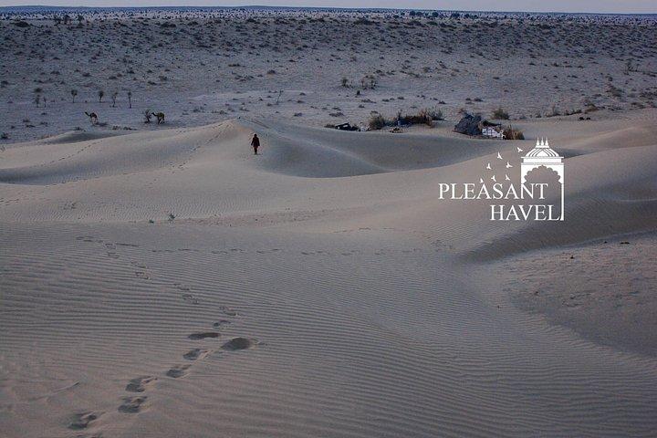 Pleasant 02 Days 01 Night Camel Safari