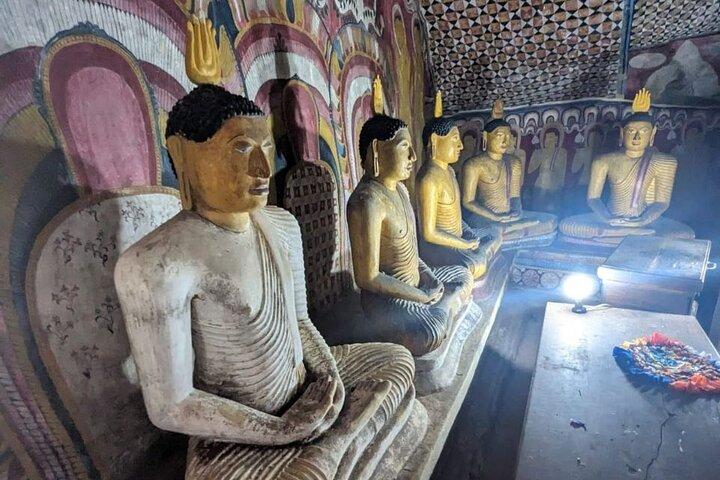 Excursão de dia inteiro a Dambulla, Sigiriya, Safari de elefantes saindo de Colombo