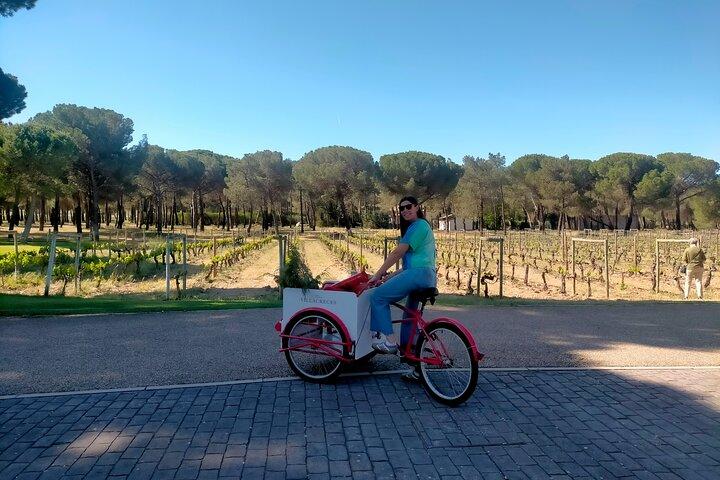 Ribera del Duero Weintour ab Madrid mit 3 Weingütern & Mittagessen