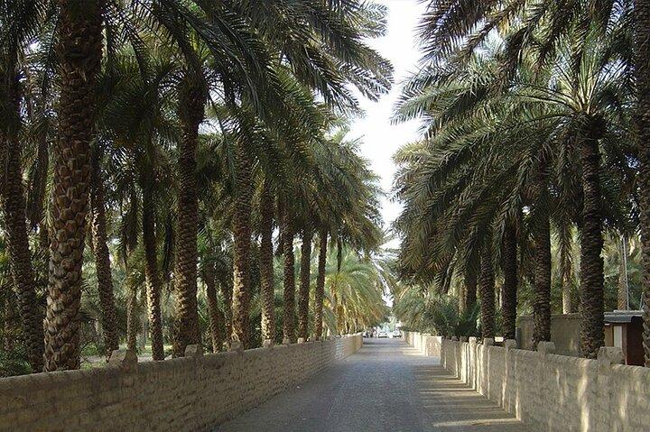 Visite de l'oasis d'Al Ain avec prise en charge et retour