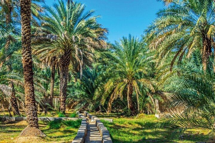 Visite de l'oasis d'Al Ain avec prise en charge et retour