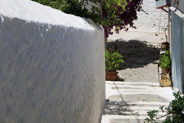 Sightseeing Private Tour in Athens Acropolis (Elysium Travel)
